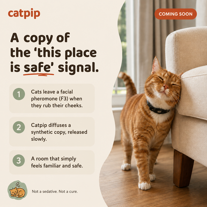 Catpip Calm Room Pheromone Diffuser
