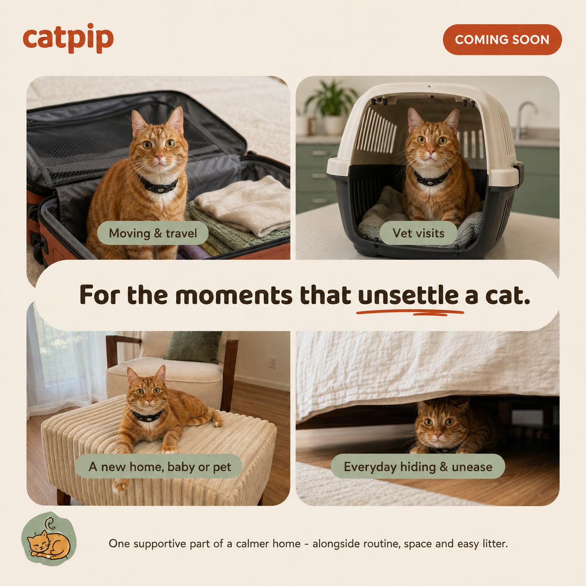 Catpip Calm Room Pheromone Diffuser
