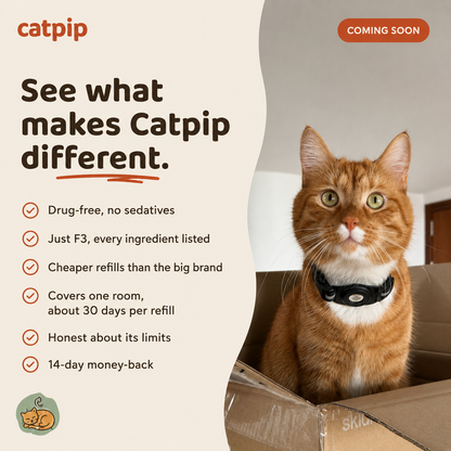 Catpip Calm Room Pheromone Diffuser