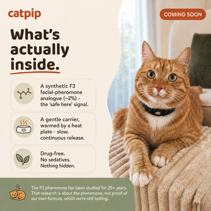 Catpip Calm Room Pheromone Diffuser