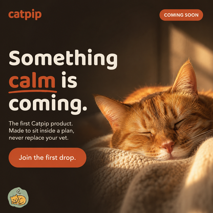 Catpip Calm Room Pheromone Diffuser